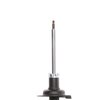 Suspension Strut - image 2