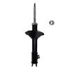 Suspension Strut - image 1
