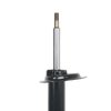Suspension Strut - image 2