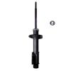 Suspension Strut - image 1