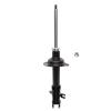 Suspension Strut - image 1