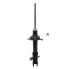 Suspension Strut - image 1