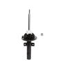 Suspension Strut - image 1