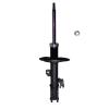 Suspension Strut - image 1