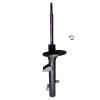 Suspension Strut - image 1
