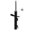 Suspension Strut - image 1