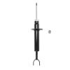 Suspension Strut - image 1