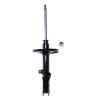Suspension Strut - image 1