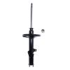 Suspension Strut - image 1