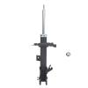 Suspension Strut - image 1