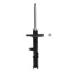 Suspension Strut - image 1