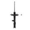 Suspension Strut - image 1
