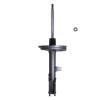 Suspension Strut - image 1