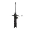 Suspension Strut - image 1