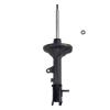 Suspension Strut - image 1