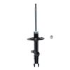 Suspension Strut - image 1