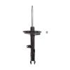 Suspension Strut - image 1