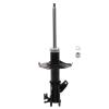 Suspension Strut - image 1