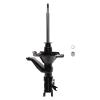 Suspension Strut - image 1