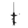Suspension Strut - image 1