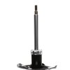 Suspension Strut - image 2