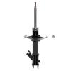Suspension Strut - image 1