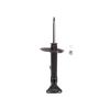 Suspension Strut - image 1