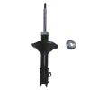 Suspension Strut - image 1