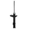 Suspension Strut - image 1