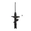 Suspension Strut - image 1