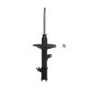 Suspension Strut - image 1