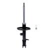Suspension Strut - image 1