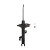 Suspension Strut - image 1