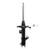 Suspension Strut - image 1