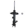 Suspension Strut - image 1