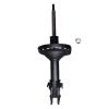 Suspension Strut - image 1