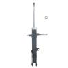 Suspension Strut - image 1