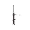 Suspension Strut - image 1