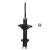 Suspension Strut - image 1
