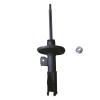 Suspension Strut - image 1