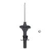Suspension Strut - image 1