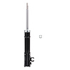 Suspension Strut - image 1