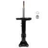 Suspension Strut - image 1