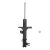 Suspension Strut - image 1