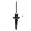 Suspension Strut - image 1