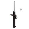 Suspension Strut - image 1