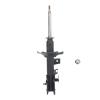 Suspension Strut - image 1