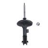 Suspension Strut - image 1