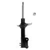 Suspension Strut - image 1