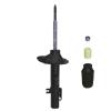 Suspension Strut - image 1